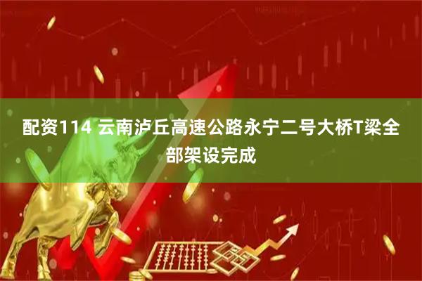 配资114 云南泸丘高速公路永宁二号大桥T梁全部架设完成